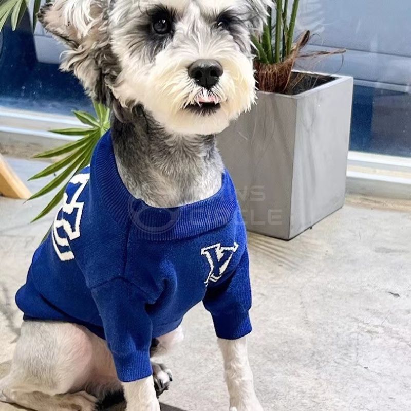 Louis Pup Double Logo Dog Sweater, Paws Circle