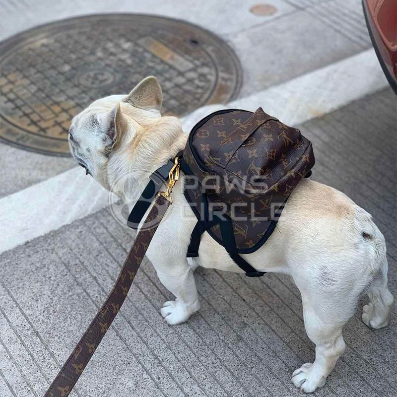 Louis Pup Black Monogram Leather Collar & Leash