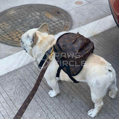 Louis Vuitton Monogram dog bag with leash