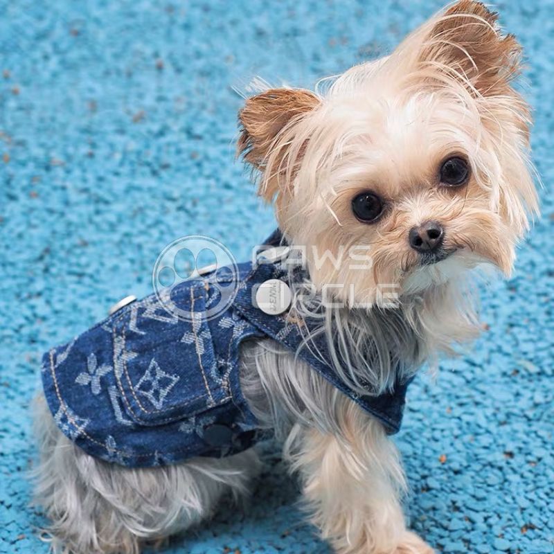Louis Vuitton Dog Clothes 