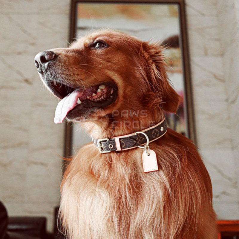 Shop Louis Vuitton MONOGRAM Unisex Pet Supplies BAXTER DOG COLLAR