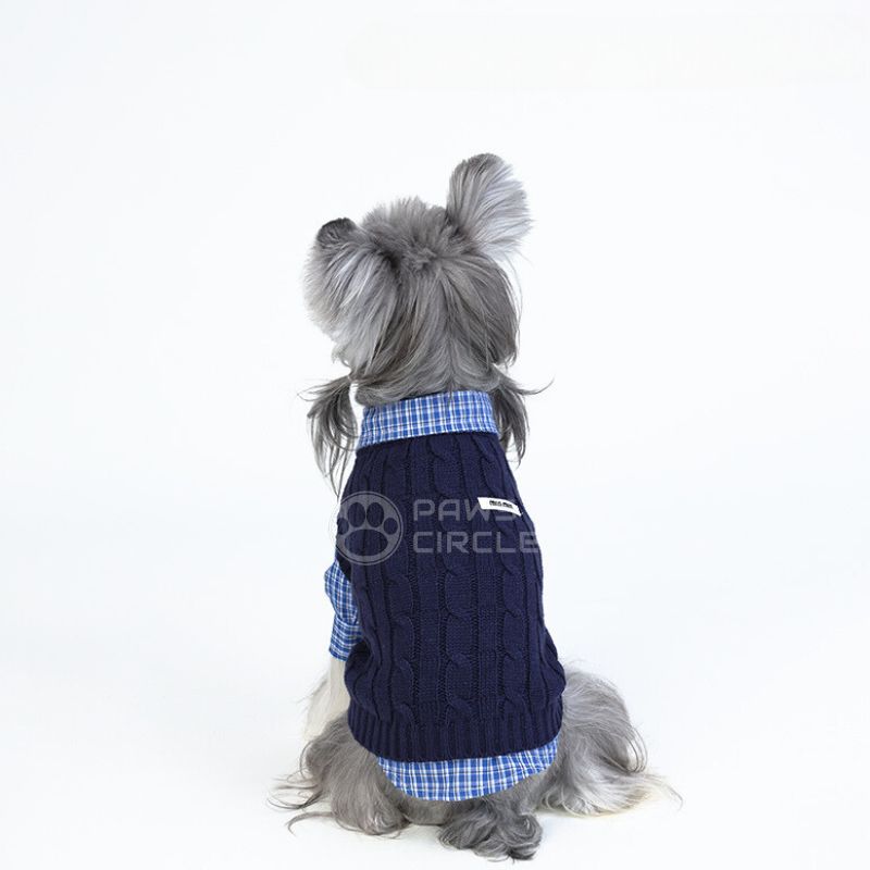 miu miu knit vest for dogs