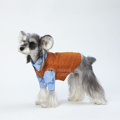 miu miu knit vest for dogs