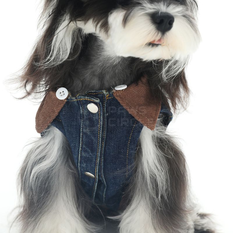Dog wearing a denim outfit with brown accents on a white background