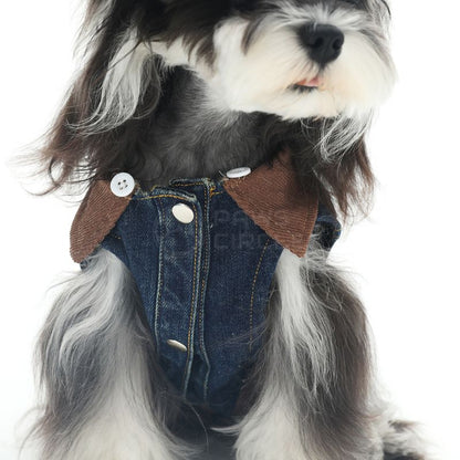 Dog wearing a denim outfit with brown accents on a white background