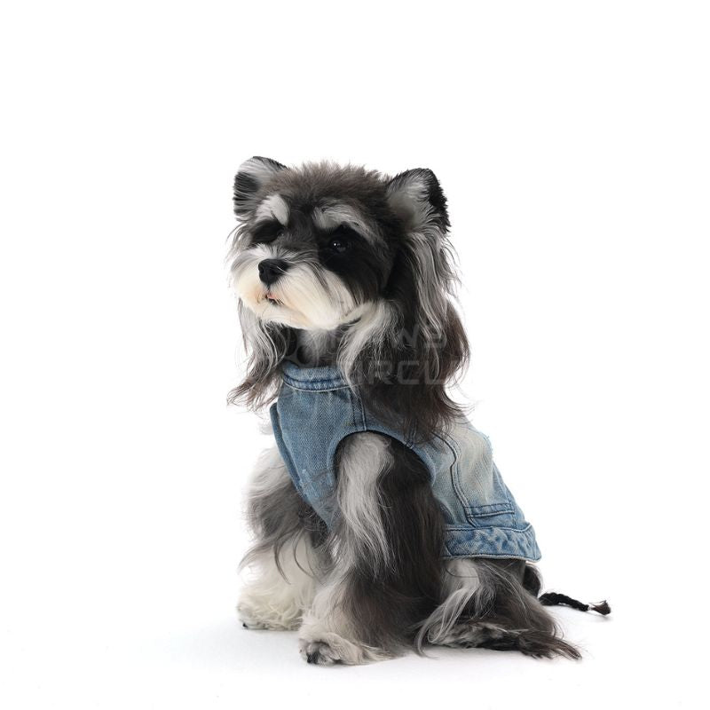 Dog wearing a denim outfit on a white background