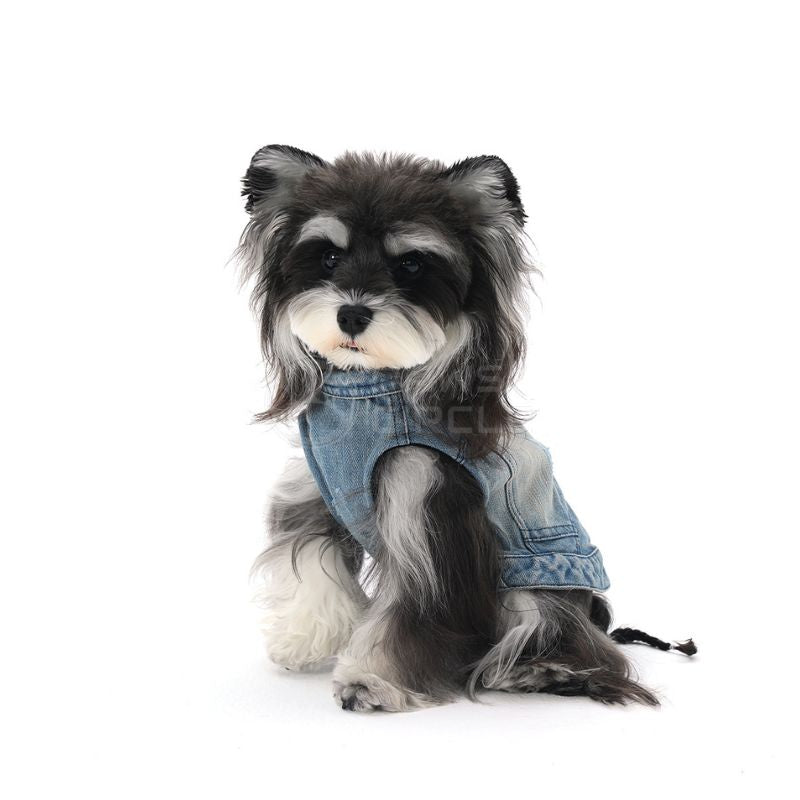 Dog wearing a denim outfit on a white background