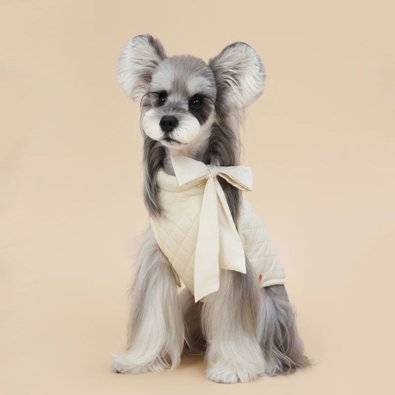Stuffed dog toy with a bow on a beige background