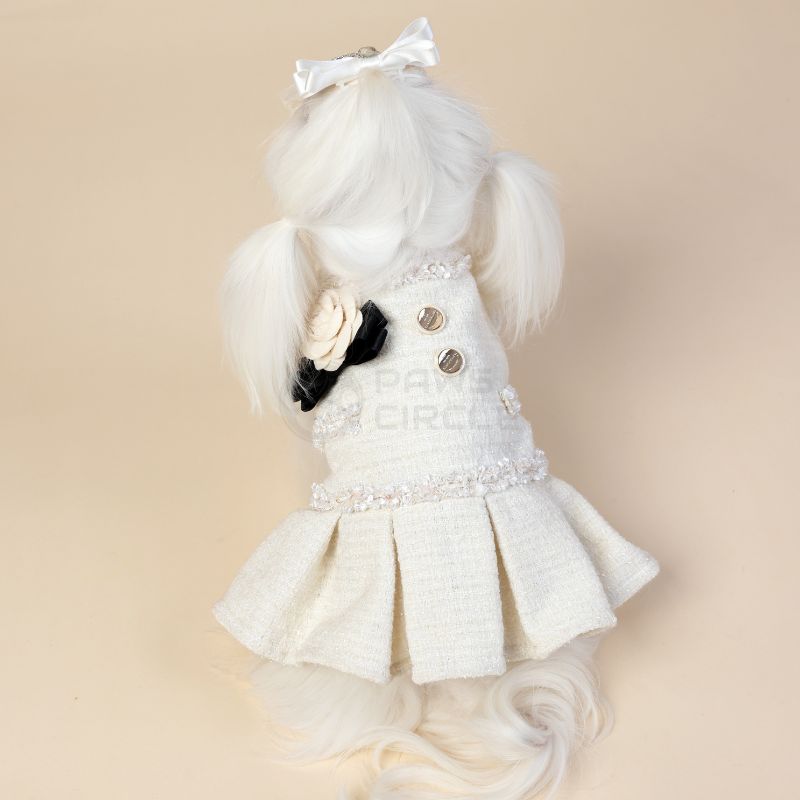 White dog dress with buttons and a bow on a beige background