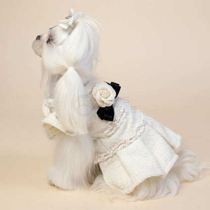 Dog wearing a white wedding dress with floral accessories on a beige background