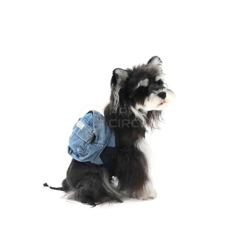 Dog wearing a denim backpack on a white background