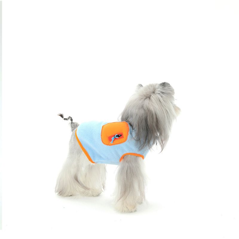 Small dog wearing a light blue and orange outfit on a white background