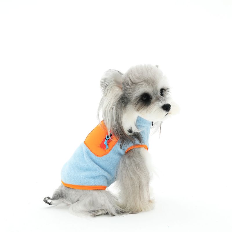 Small dog wearing a light blue and orange fleece jacket on a white background