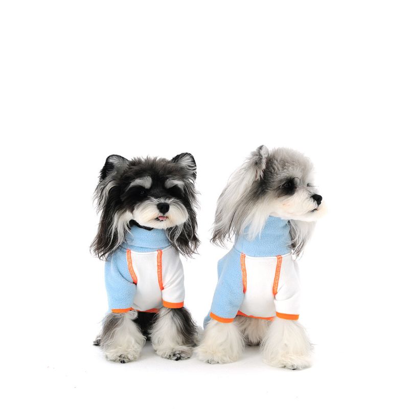 Two dogs wearing light blue outfits with orange accents on a white background