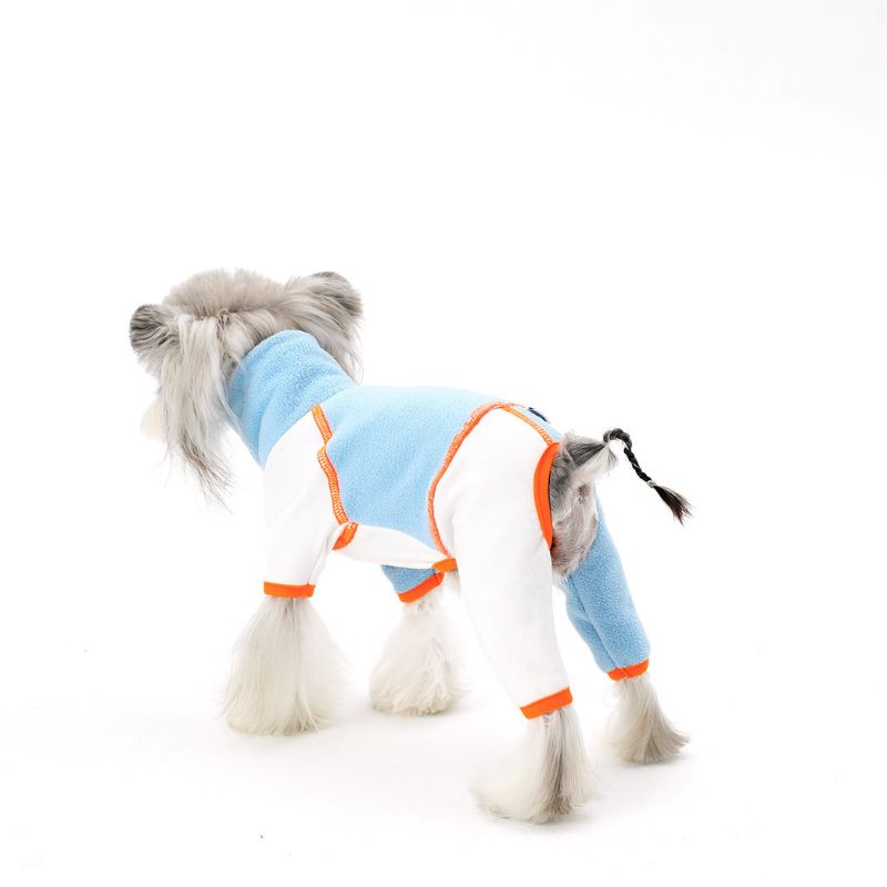 Dog wearing a light blue and white outfit with orange trim on a white background