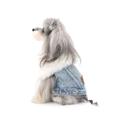 Dog wearing a denim jacket on a white background