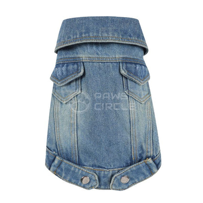 Blue denim dog coat on a white background with 'Paws Circle' branding.