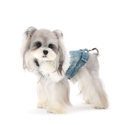 Small dog wearing a denim harness on a white background