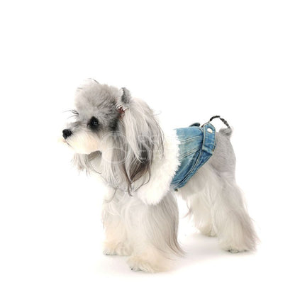 Small dog wearing a denim outfit on a white background