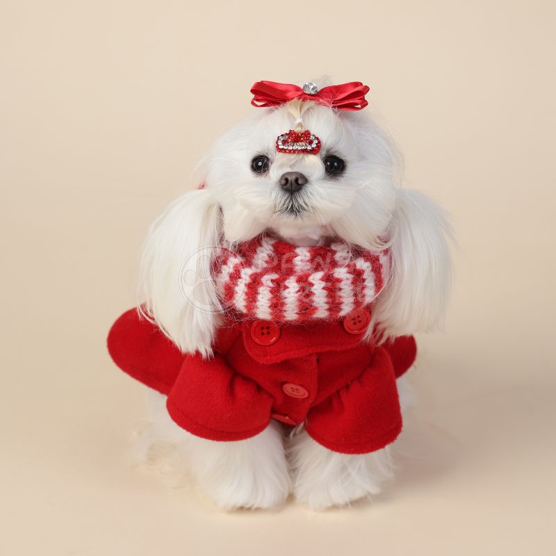 Small white dog wearing a red and white outfit with a bow on a beige background