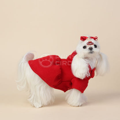 White dog wearing a red dress COAT with a bow on a beige background