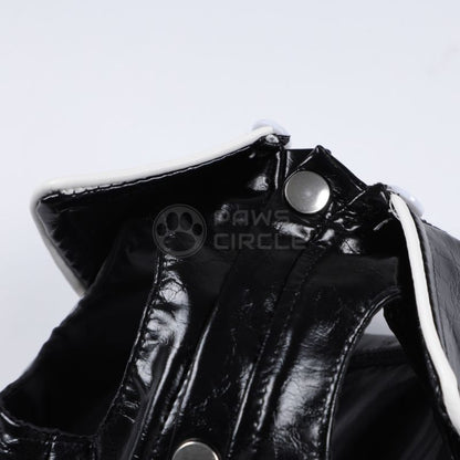 Close-up of a black leather glove with a paw print design on a white background