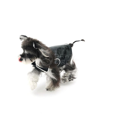 Small dog wearing a black raincoat on a white background