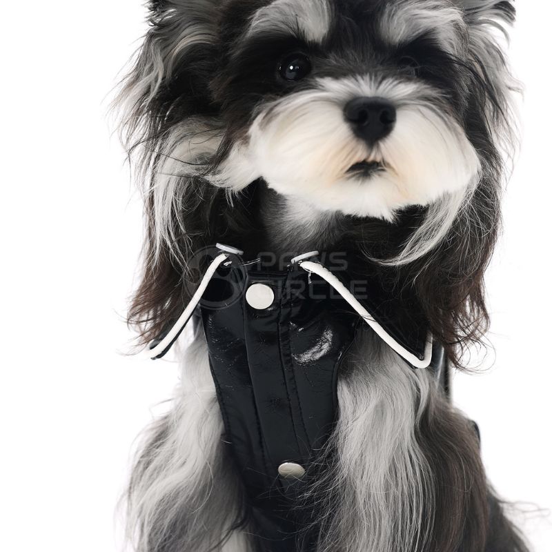 Dog wearing a black leather jacket with white buttons on a white background