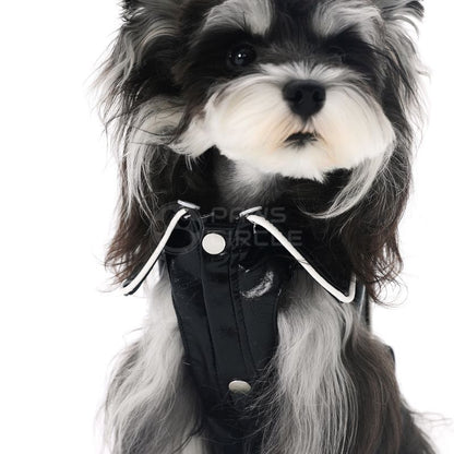 Dog wearing a black leather jacket with white buttons on a white background