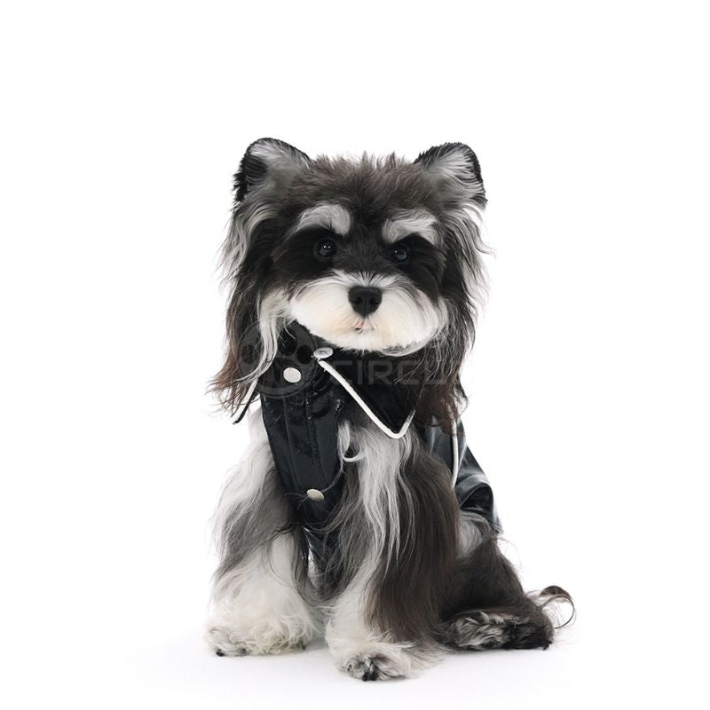 Dog wearing a black and gray costume with a hood on a white background