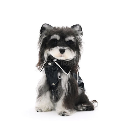 Dog wearing a black and gray costume with a hood on a white background
