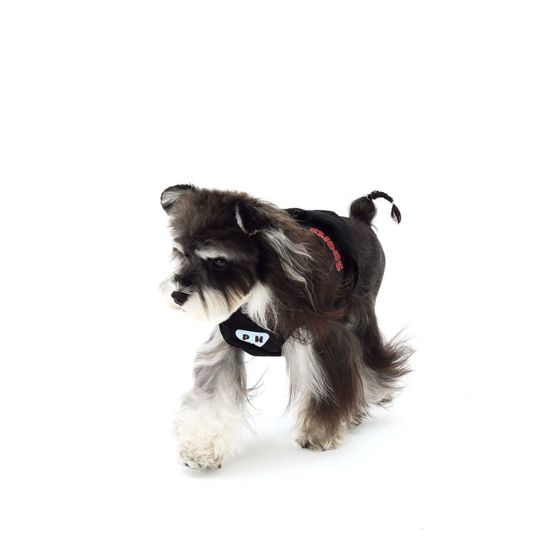 Small dog wearing a black outfit with a hood on a white background