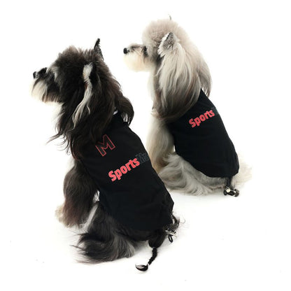 Two dogs wearing black sweaters with 'Sports' printed on them against a white background.