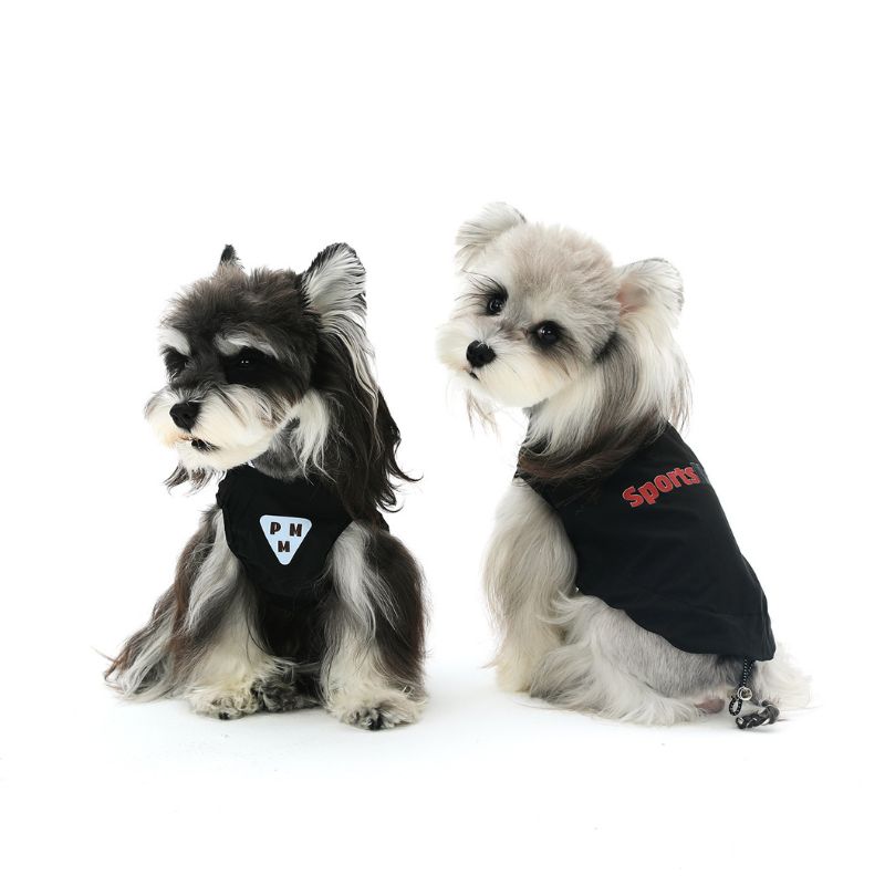Two small dogs wearing black vests with logos on a white background