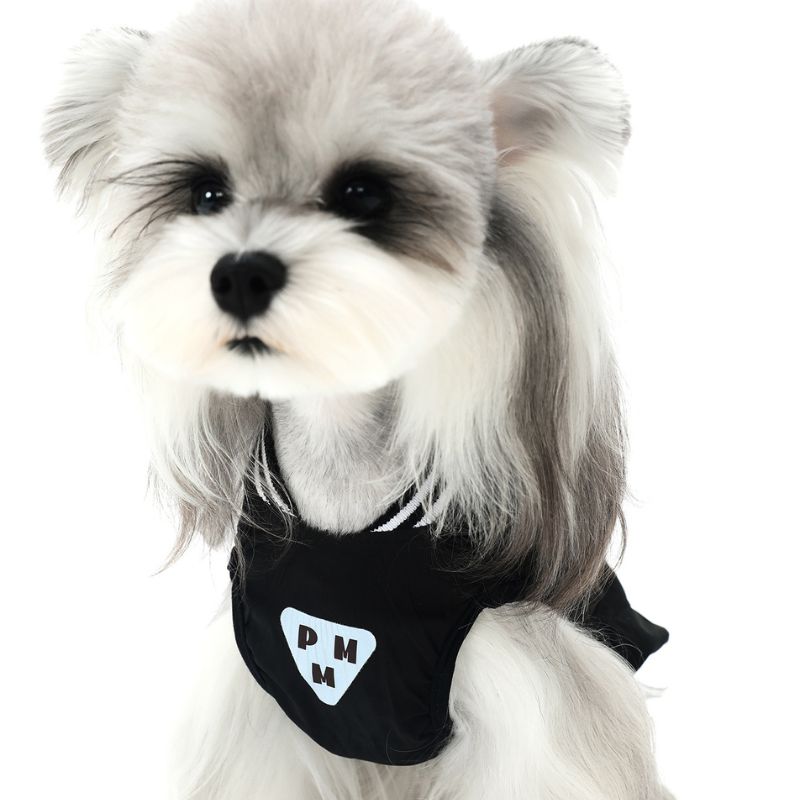 Small dog wearing a black harness with a logo on a white background