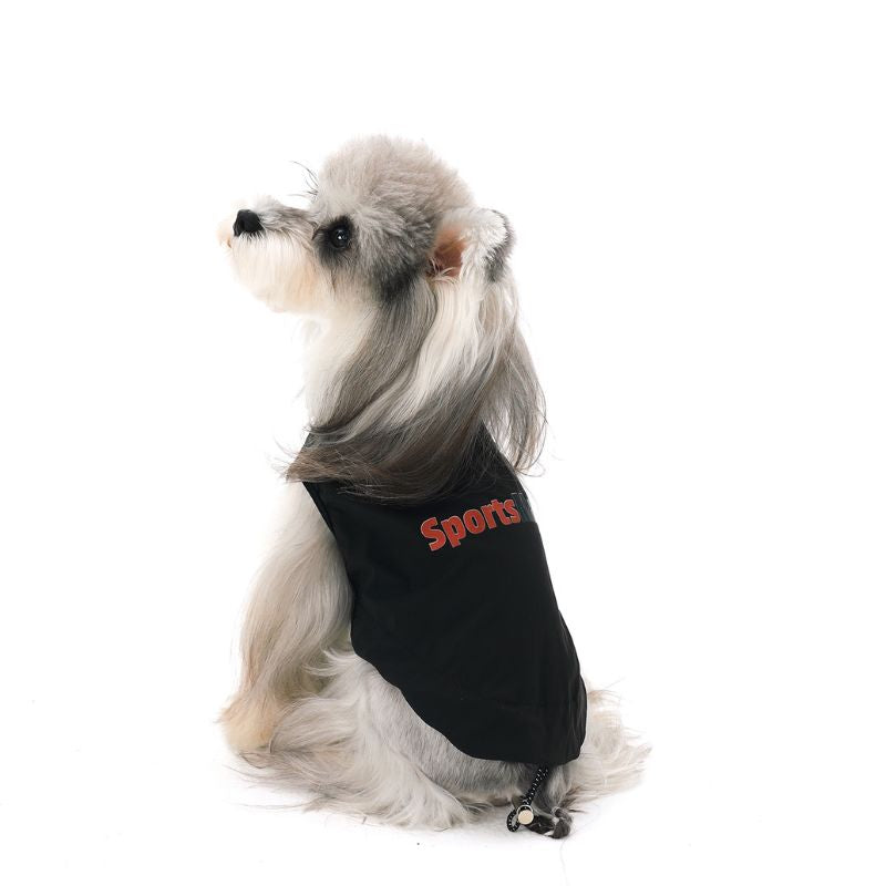 Small dog wearing a black jacket with 'Sports' printed on it against a white background
