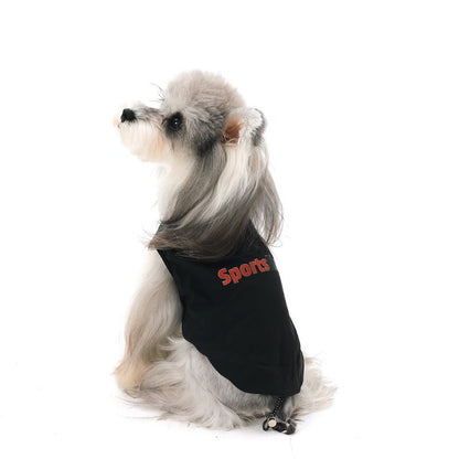 Small dog wearing a black jacket with 'Sports' printed on it against a white background
