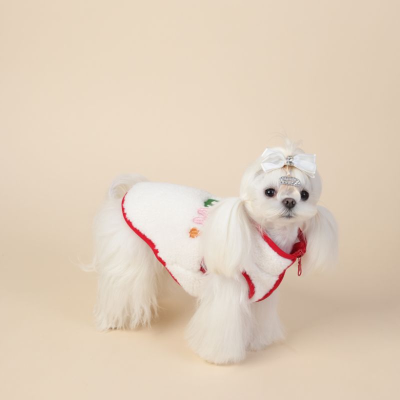 Small white dog wearing a red and white outfit with a bow on a beige background