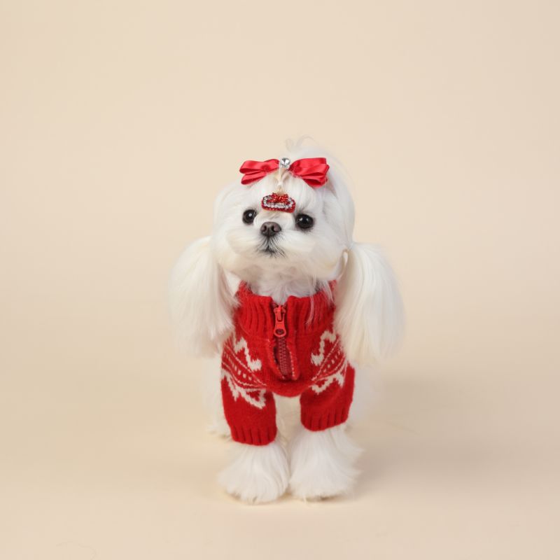 pet half zip red sweater with winter zig zag print