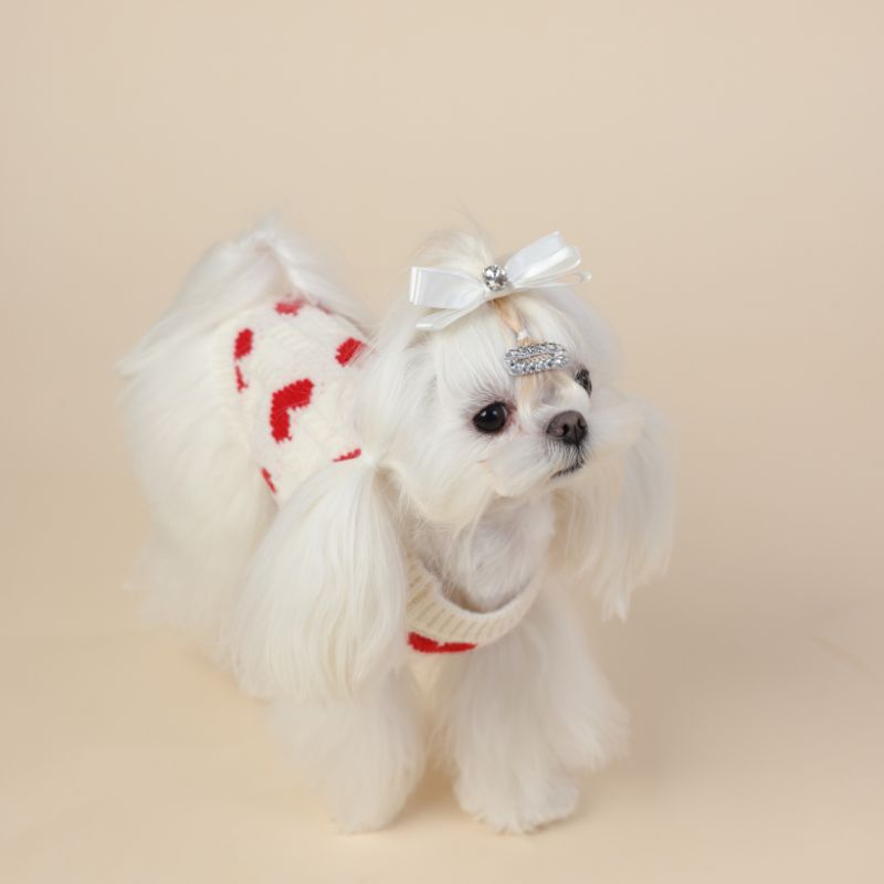heart shape knit dog sweater