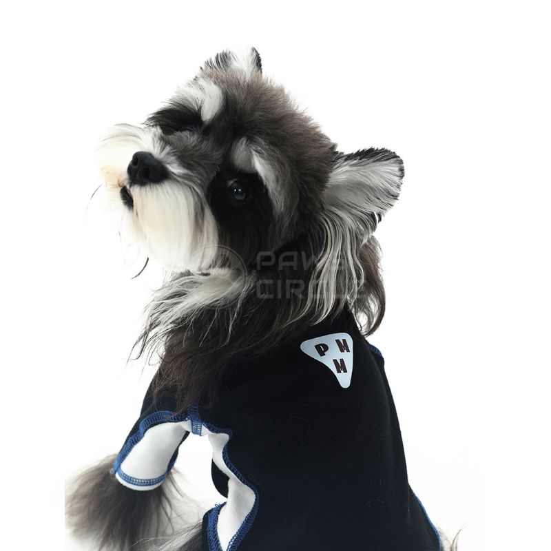 Dog wearing a black outfit with white accents on a white background