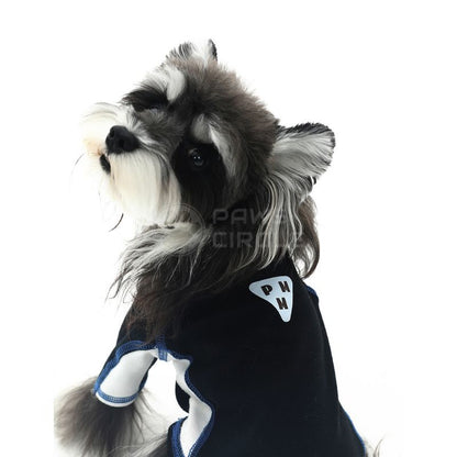 Dog wearing a black outfit with white accents on a white background