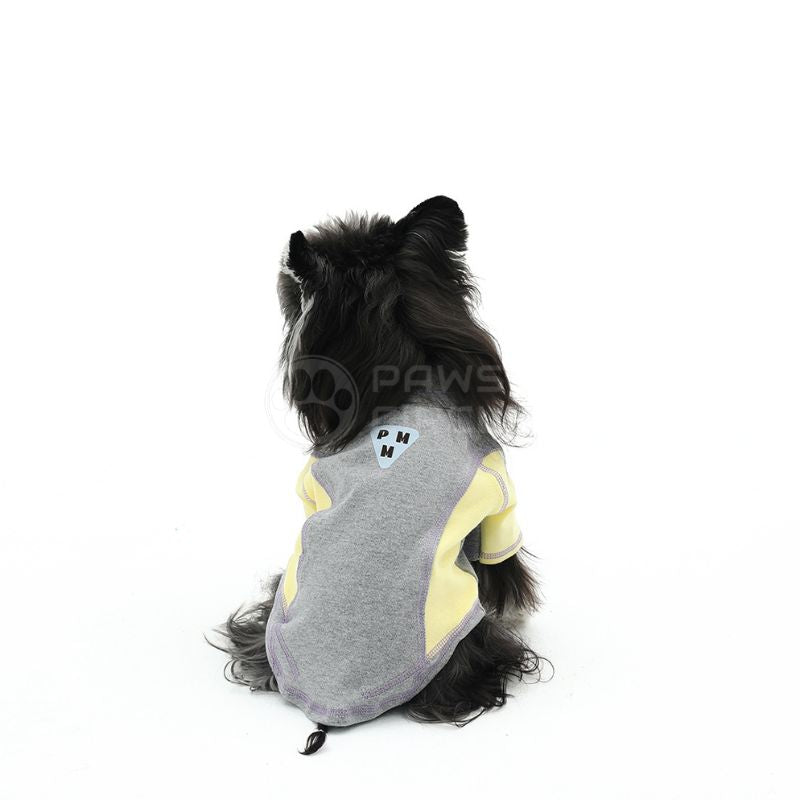 Dog wearing a gray and yellow hoodie with 'Paws' branding on a white background