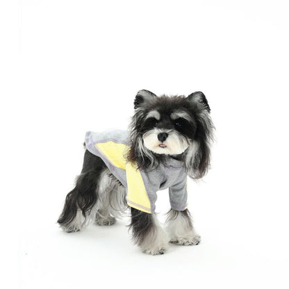 Dog wearing a costume with a yellow lightning bolt on a white background