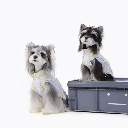 Two small dogs wearing white windbreaker sitting on a gray platform with a white background