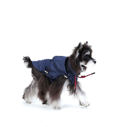 Dog wearing a blue coat on a white background