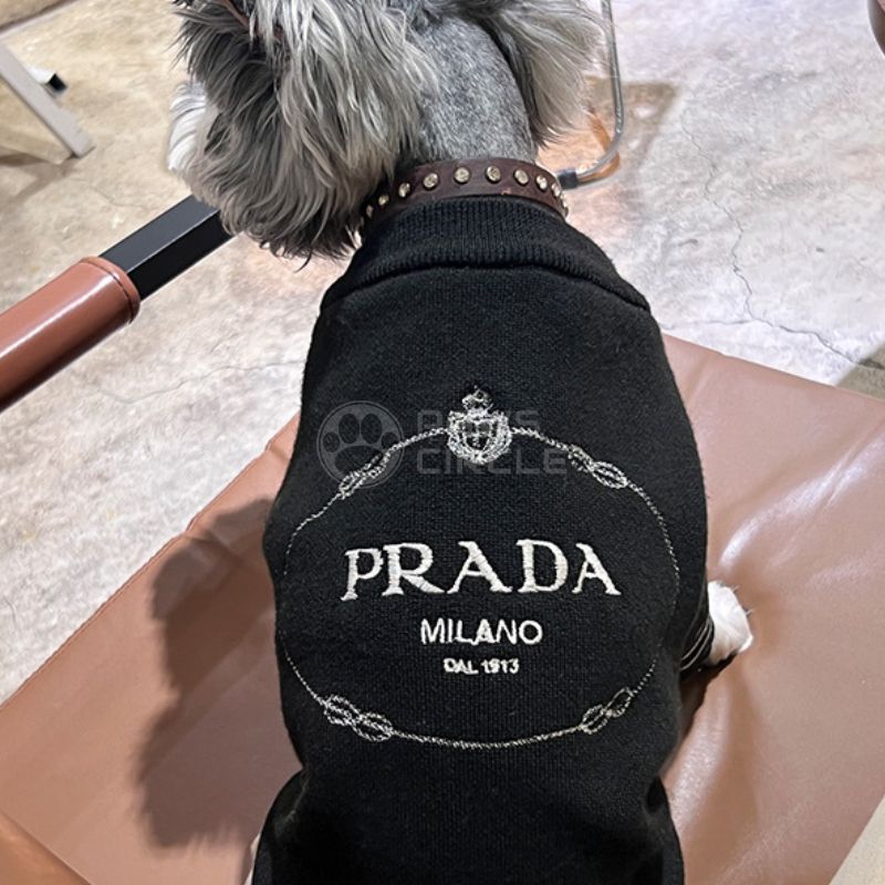 Dog Collars Prada Puppies Available Pawda Crown Sweater Paws