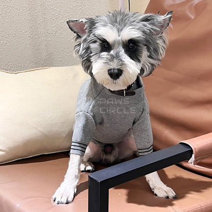 prada sweater for dogs