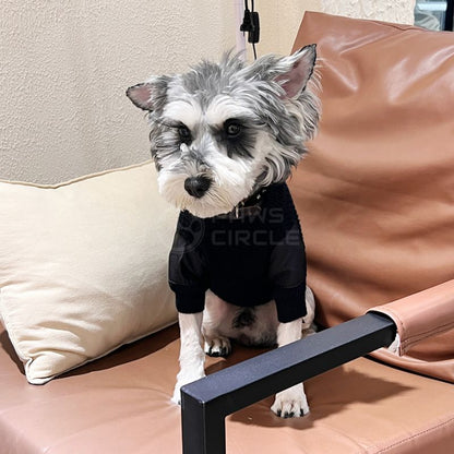 prada military sweater for dog in black
