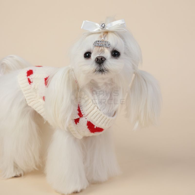 valentine sweater for dogs